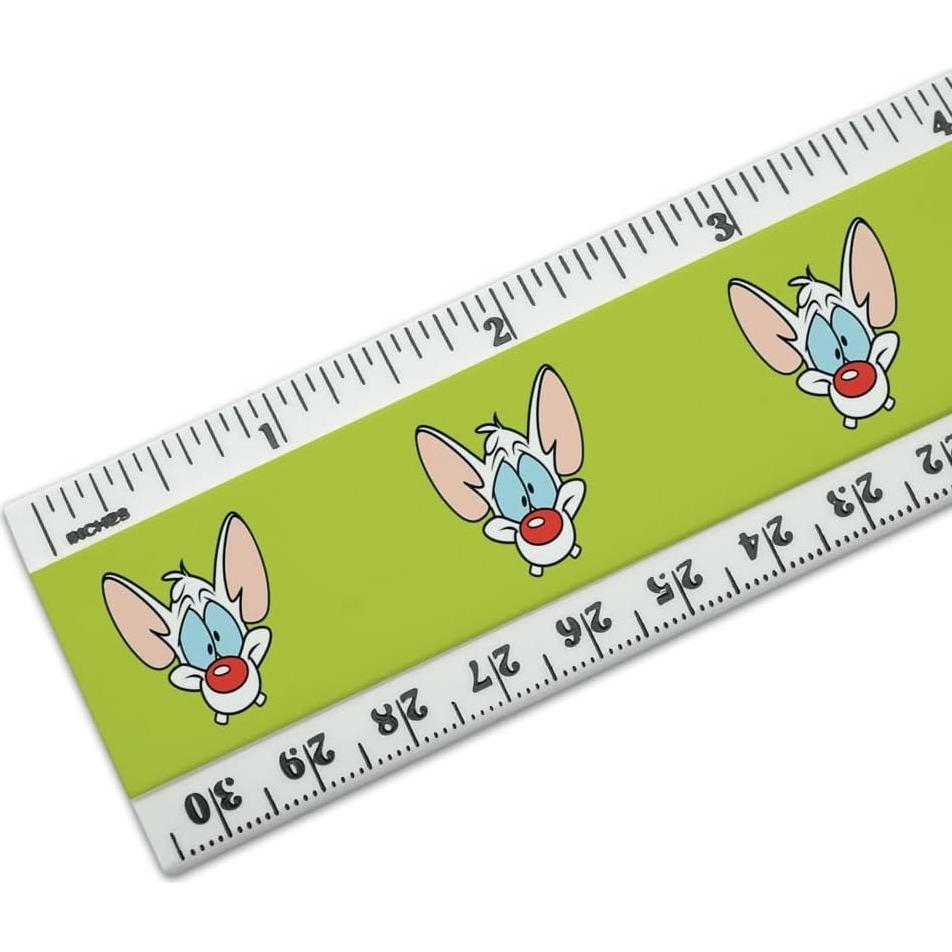 Regla de Plástico 30 cm Pinky y el Cerebro - Graphics & More