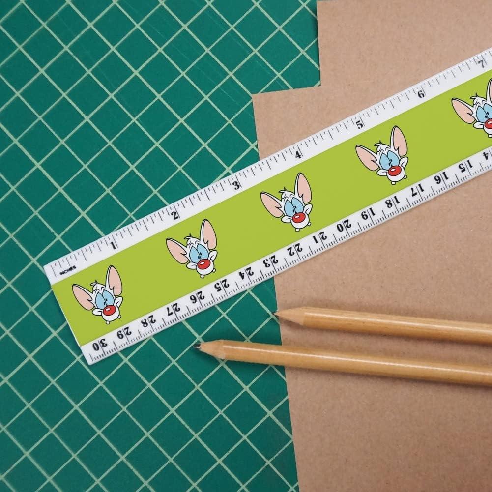 Regla de Plástico 30 cm Pinky y el Cerebro - Graphics & More