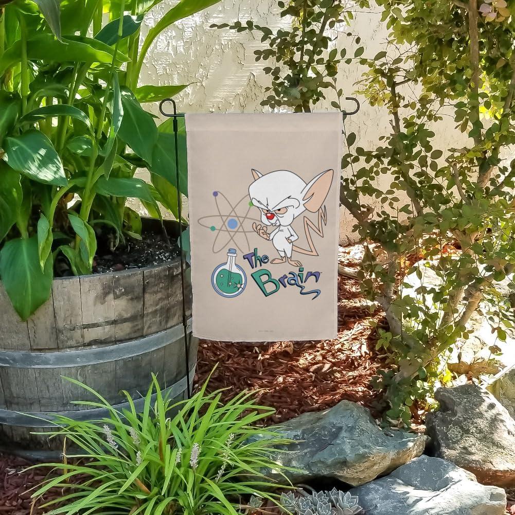 Bandera de Jardín Pinky y el Cerebro 48cm x 33cm Graphics & More