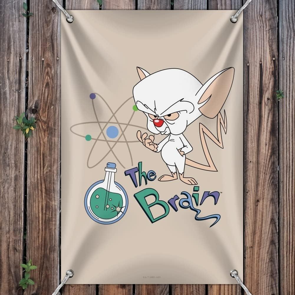 Pancarta decorativa Pinky y El Cerebro 84x56cm Graphics & More