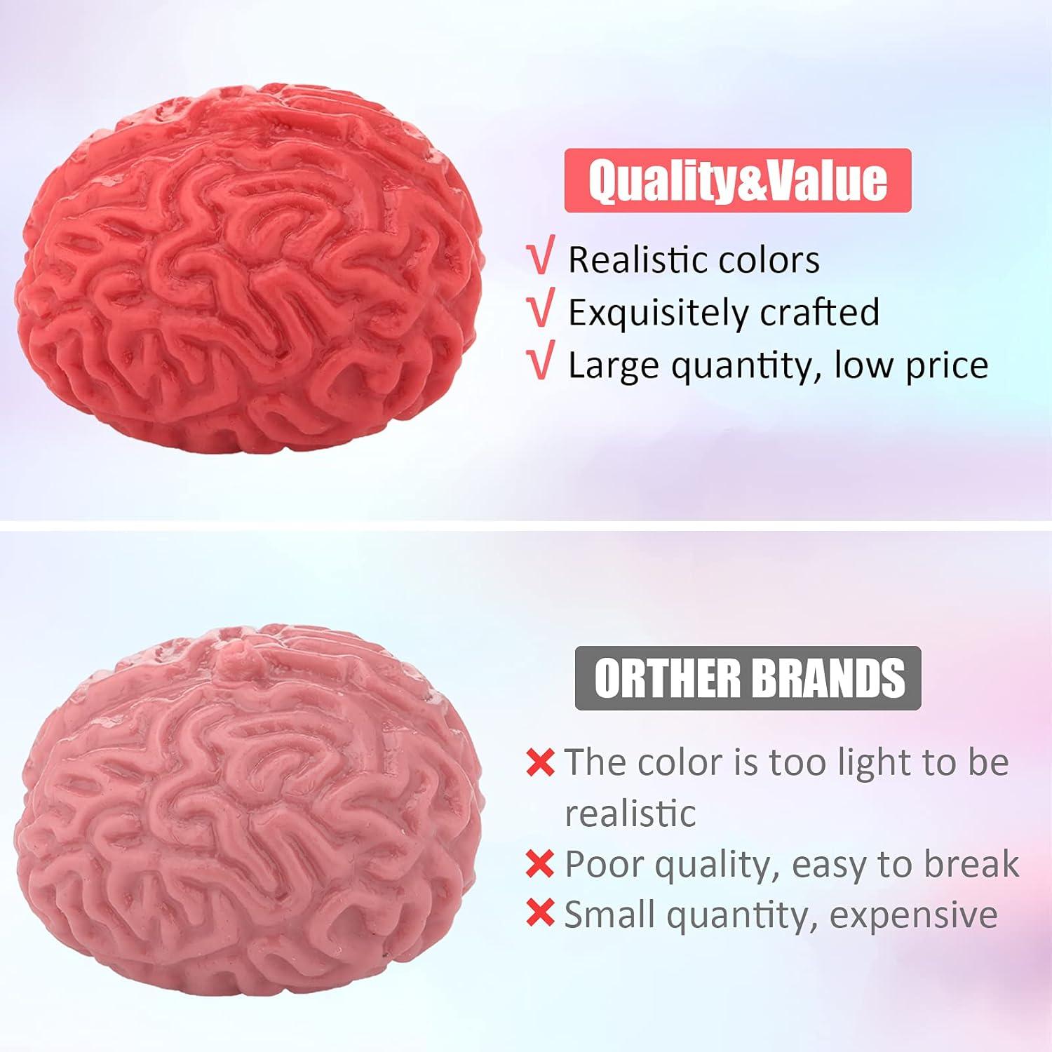 12 Pelotas Antiestrés Zhanmai Cerebrales 6 cm Rojas