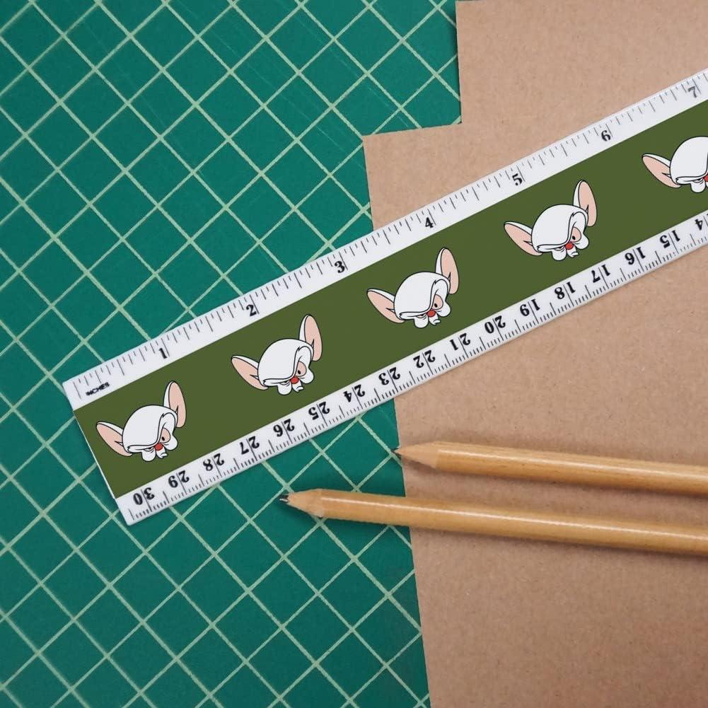 Regla de Plástico 30 cm Pinky y Cerebro - Oficial