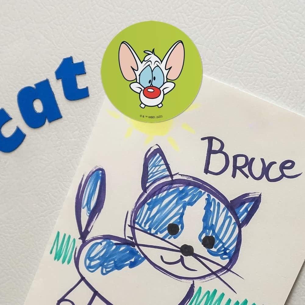 Conjunto de Imanes de Vinilo Pinky y El Cerebro - 4 Piezas