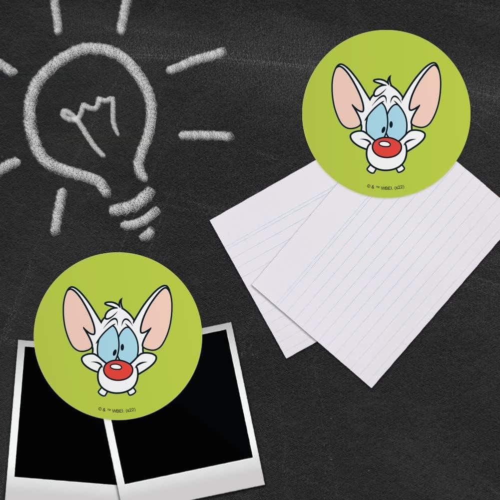 Conjunto de Imanes de Vinilo Pinky y El Cerebro - 4 Piezas