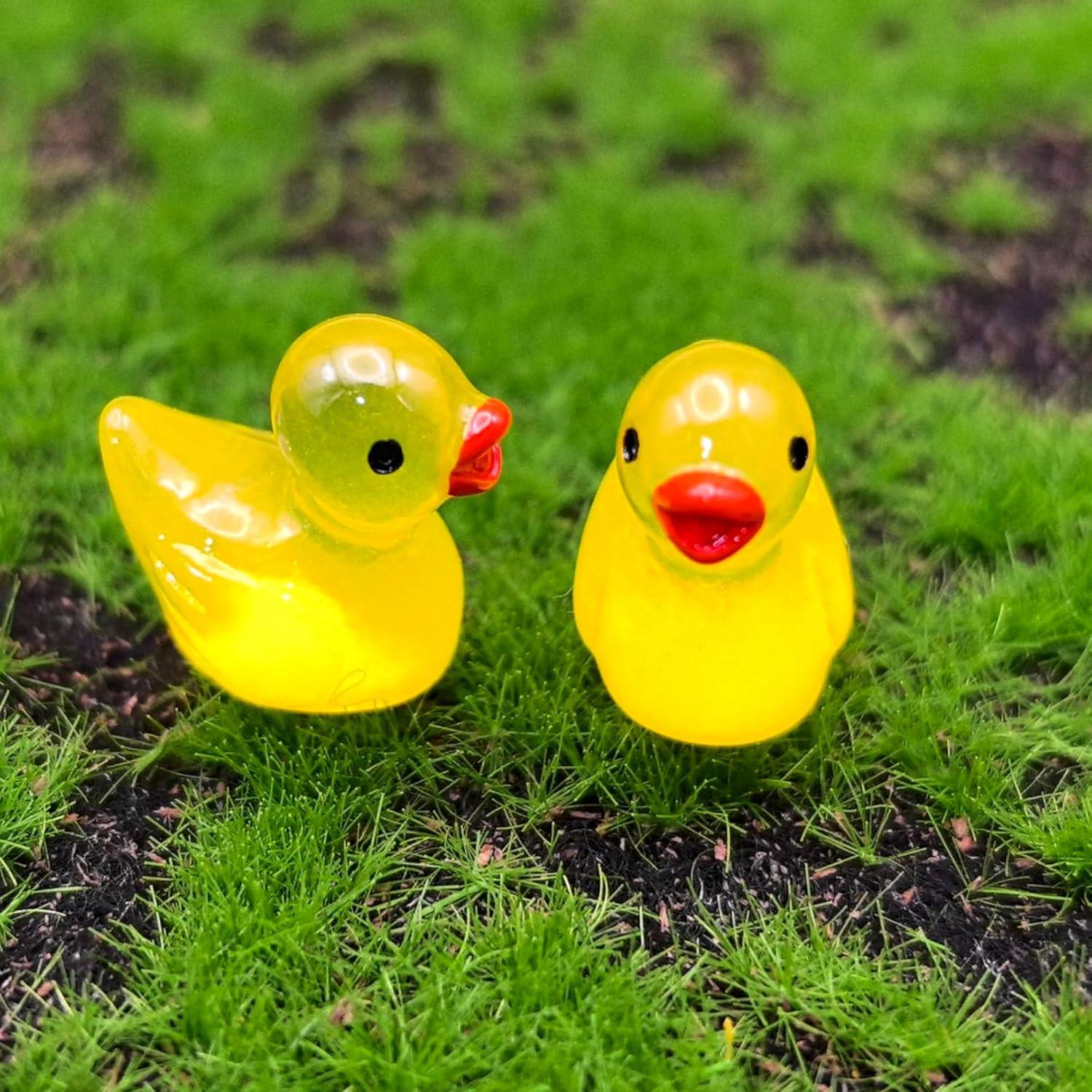 50 Patitos Brillantes en la Oscuridad - Decoración Multicolor