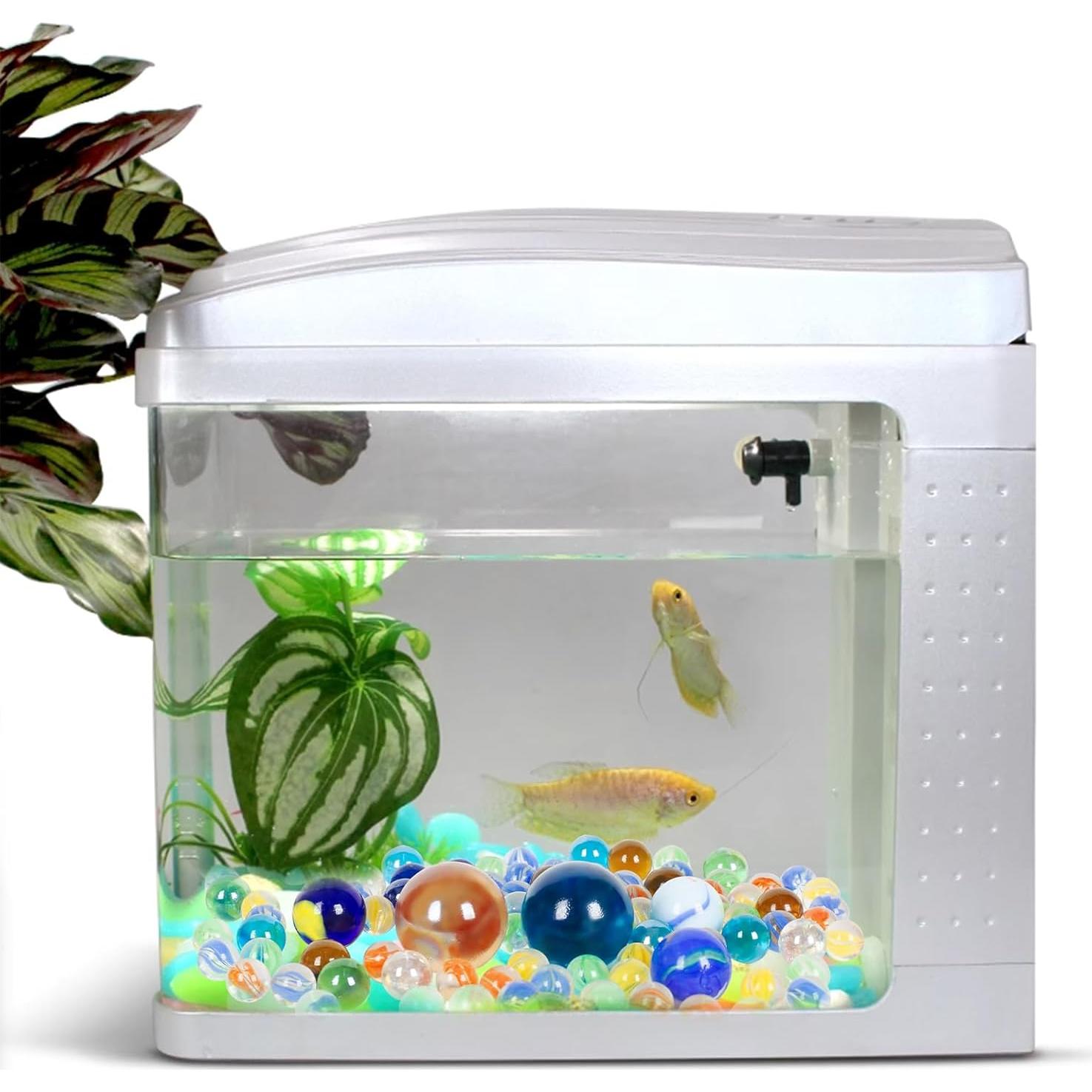 Canicas de Vidrio ShellKingdom 100PCS 4 Tamaños para Manualidades