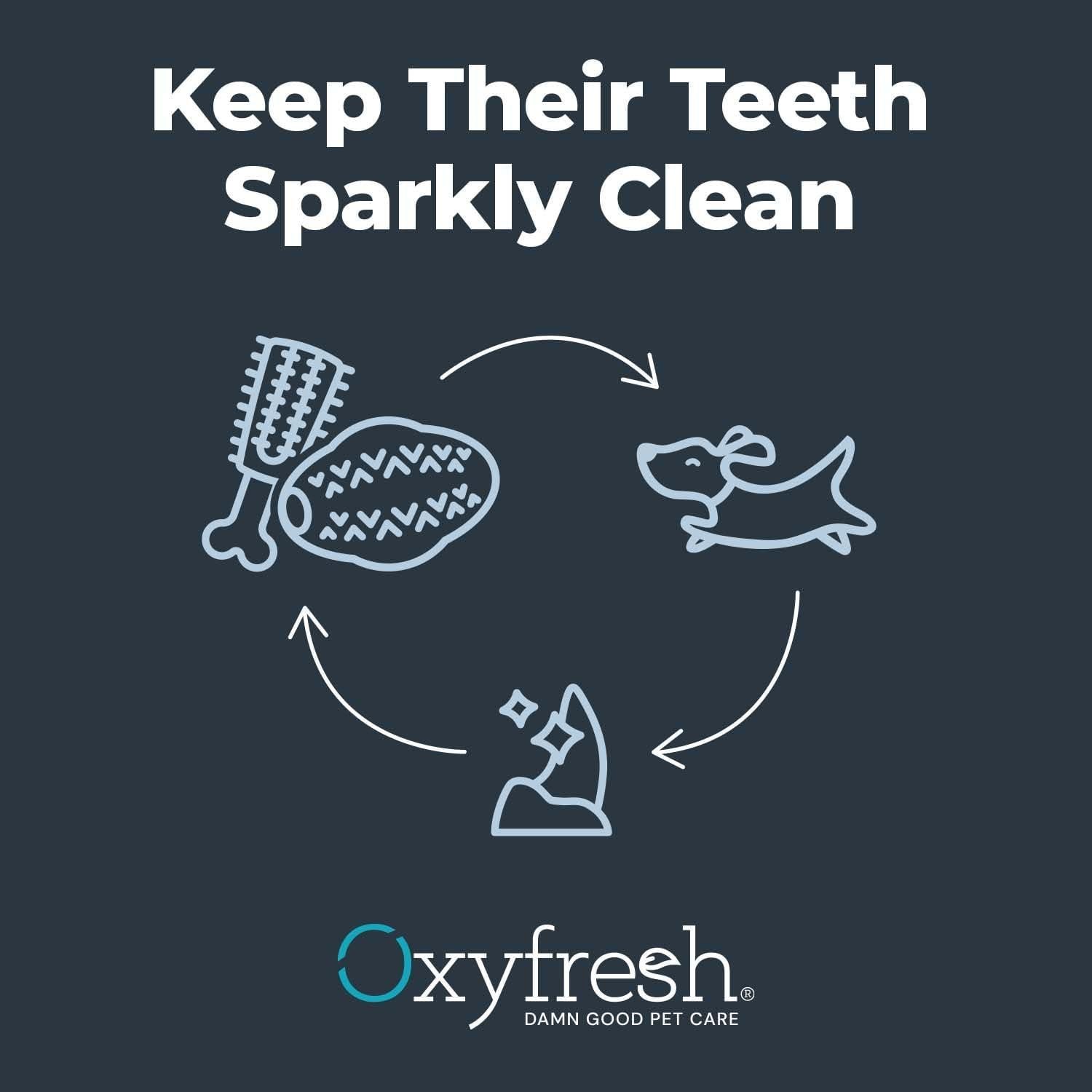 Juguete Dental para Perros Oxyfresh - Goma Natural Pequeño