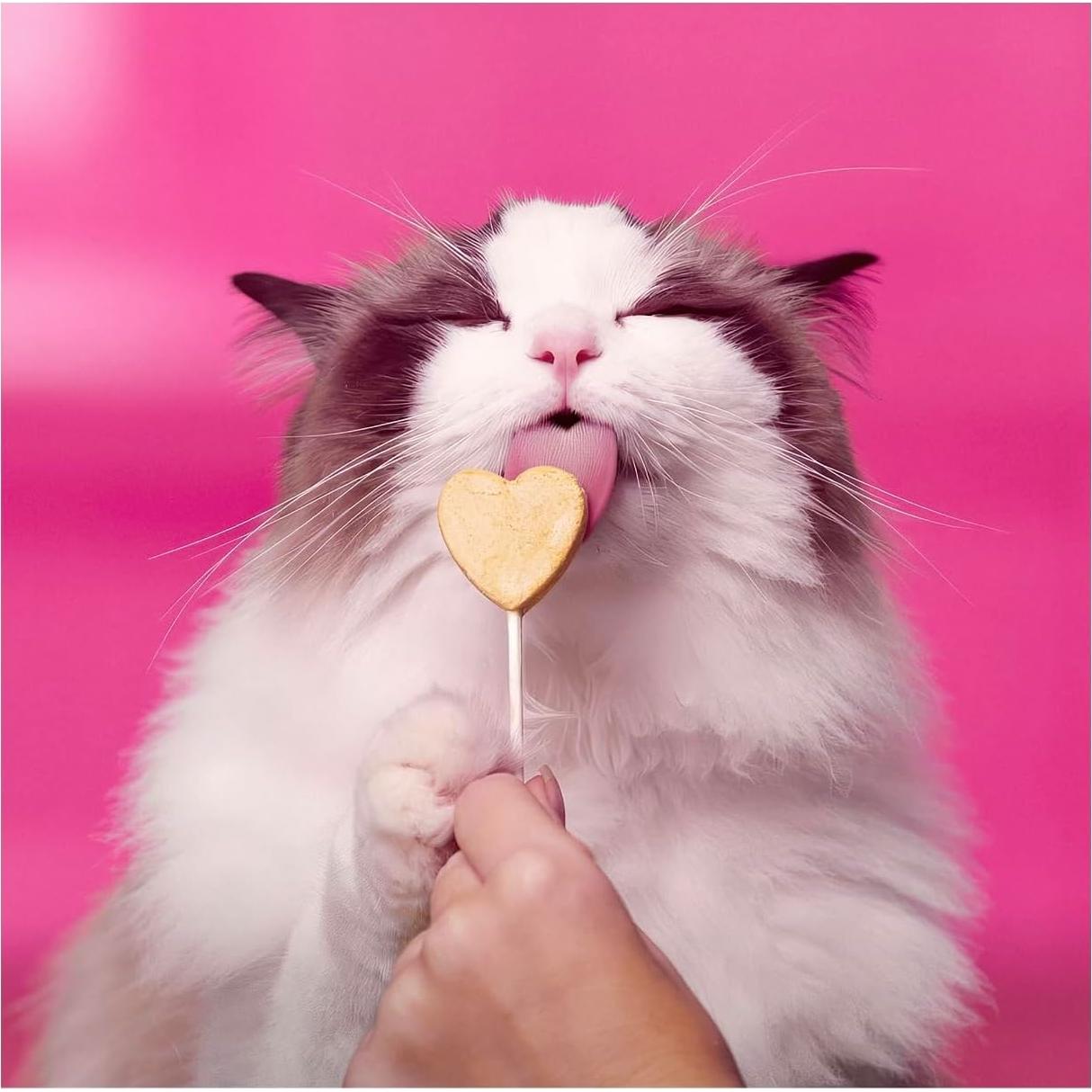 Golosinas Deshidratadas para Gatos Bonkers Purr Pops 8 Unidades