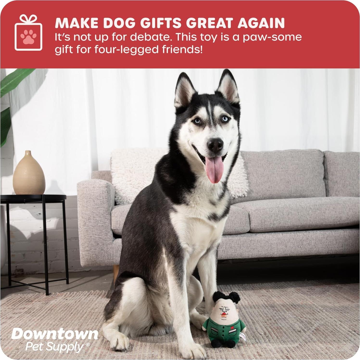 Juguete Político para Perros Downtown Pet Supply Supreme Leasher