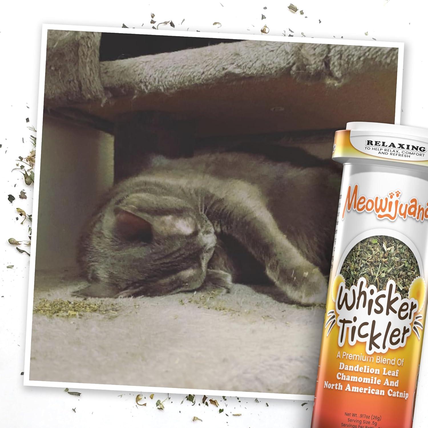 Paquete de 3 Botellas de Catnip Meowijuana - Alta Potencia