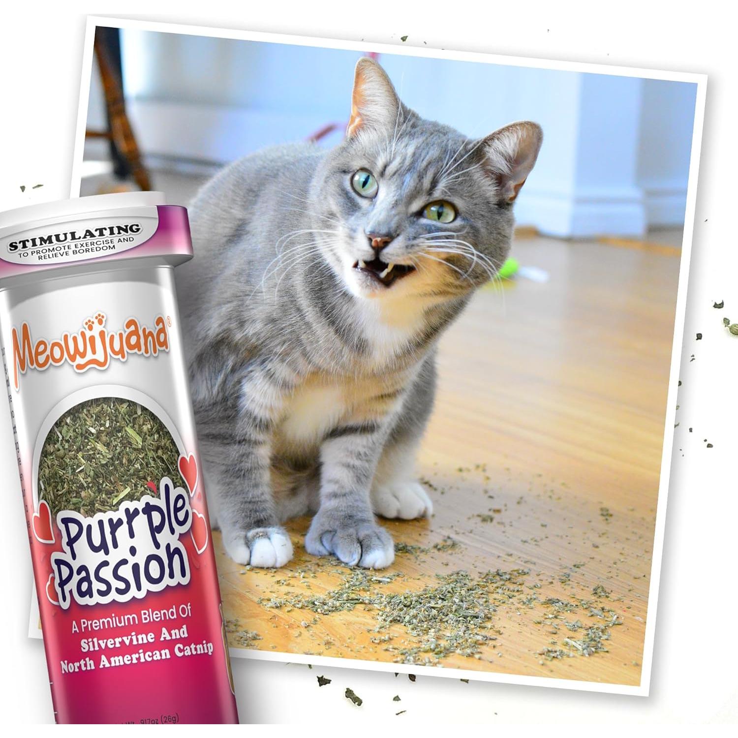 Paquete de 3 Botellas de Catnip Meowijuana - Alta Potencia