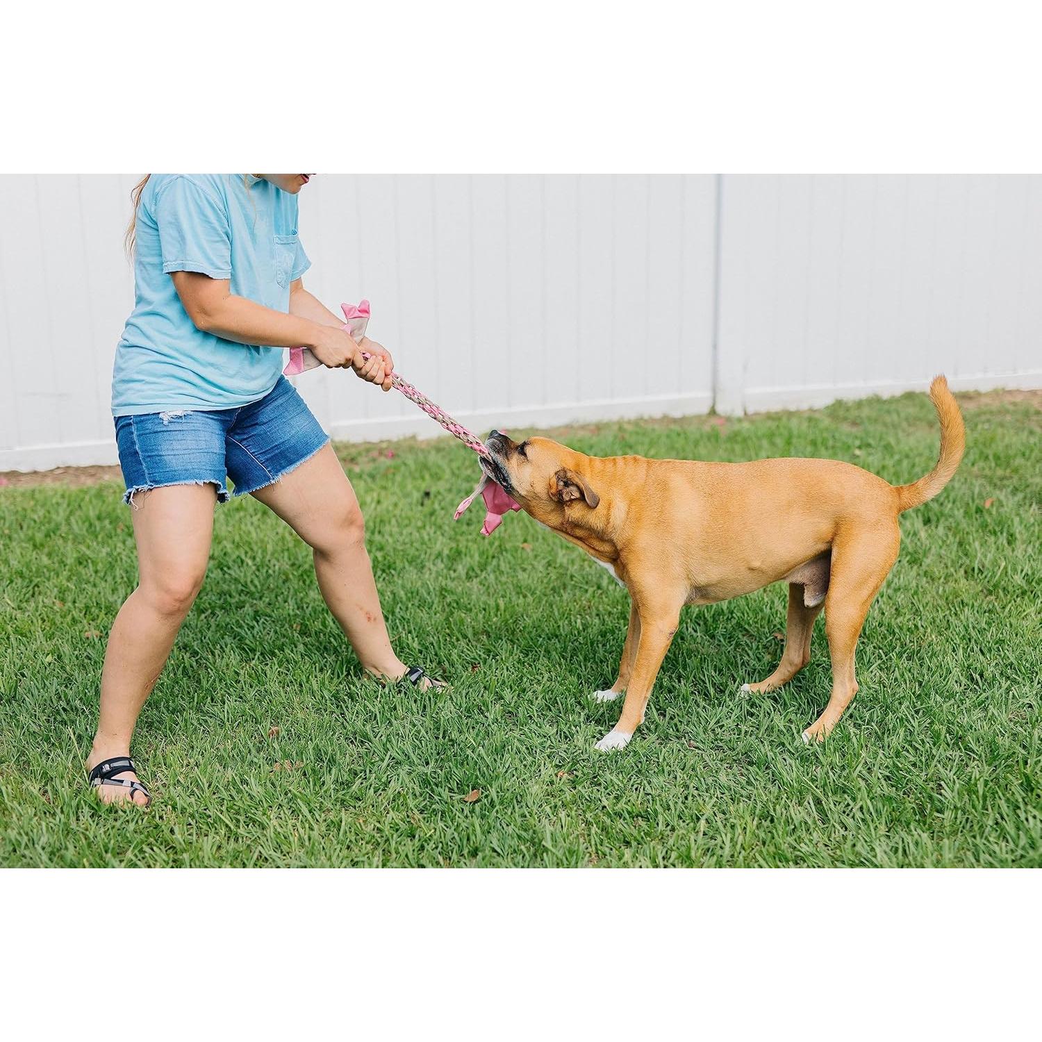 Juguete para Perros Jolly Pets Flathead Tug Grande Mono