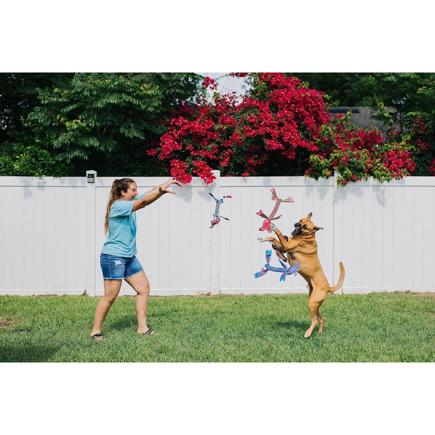 Juguete para Perros Jolly Pets Flathead Tug Grande Mono