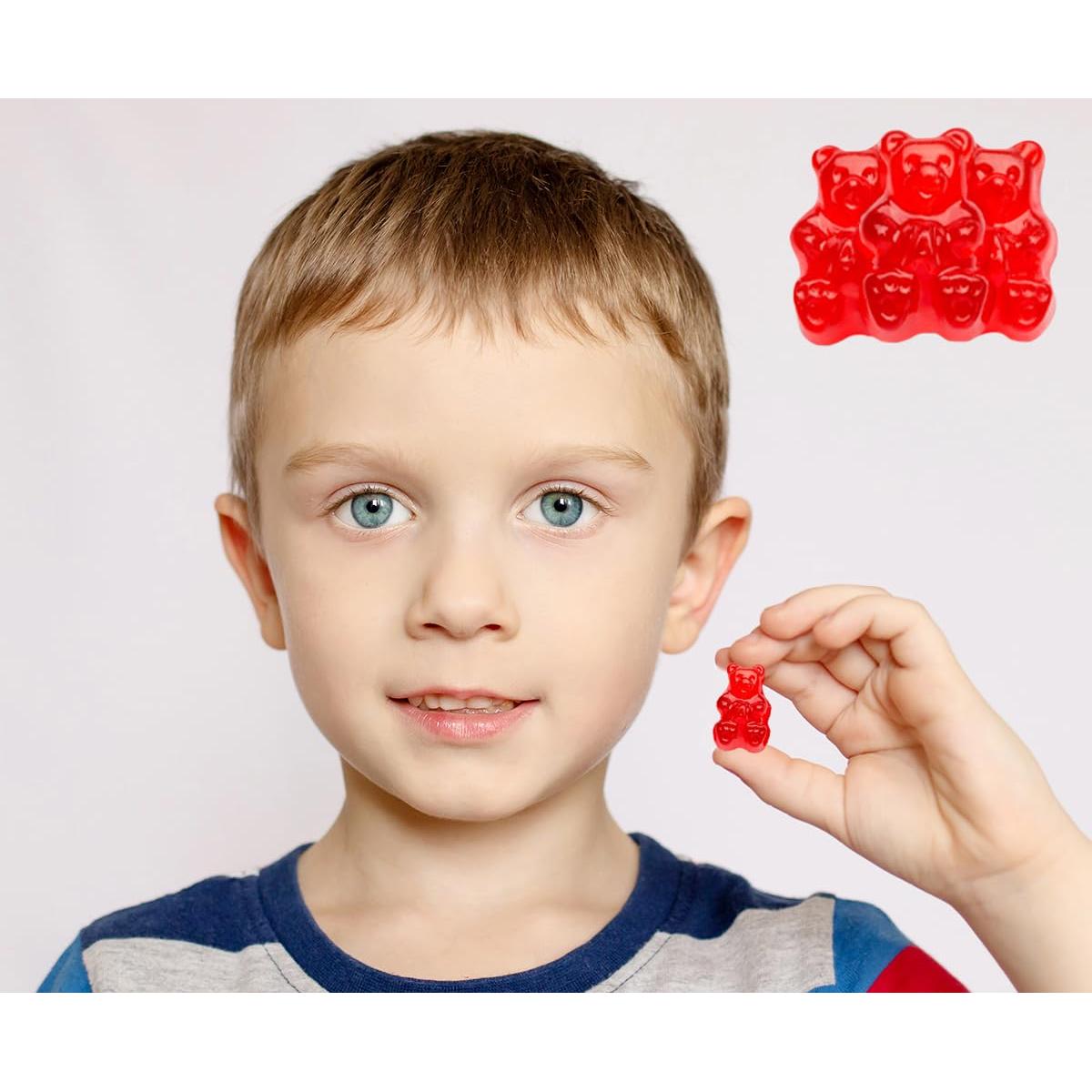 Ositos de Goma Fruidles Cereza Silvestre 2.27 kg Sin Gluten