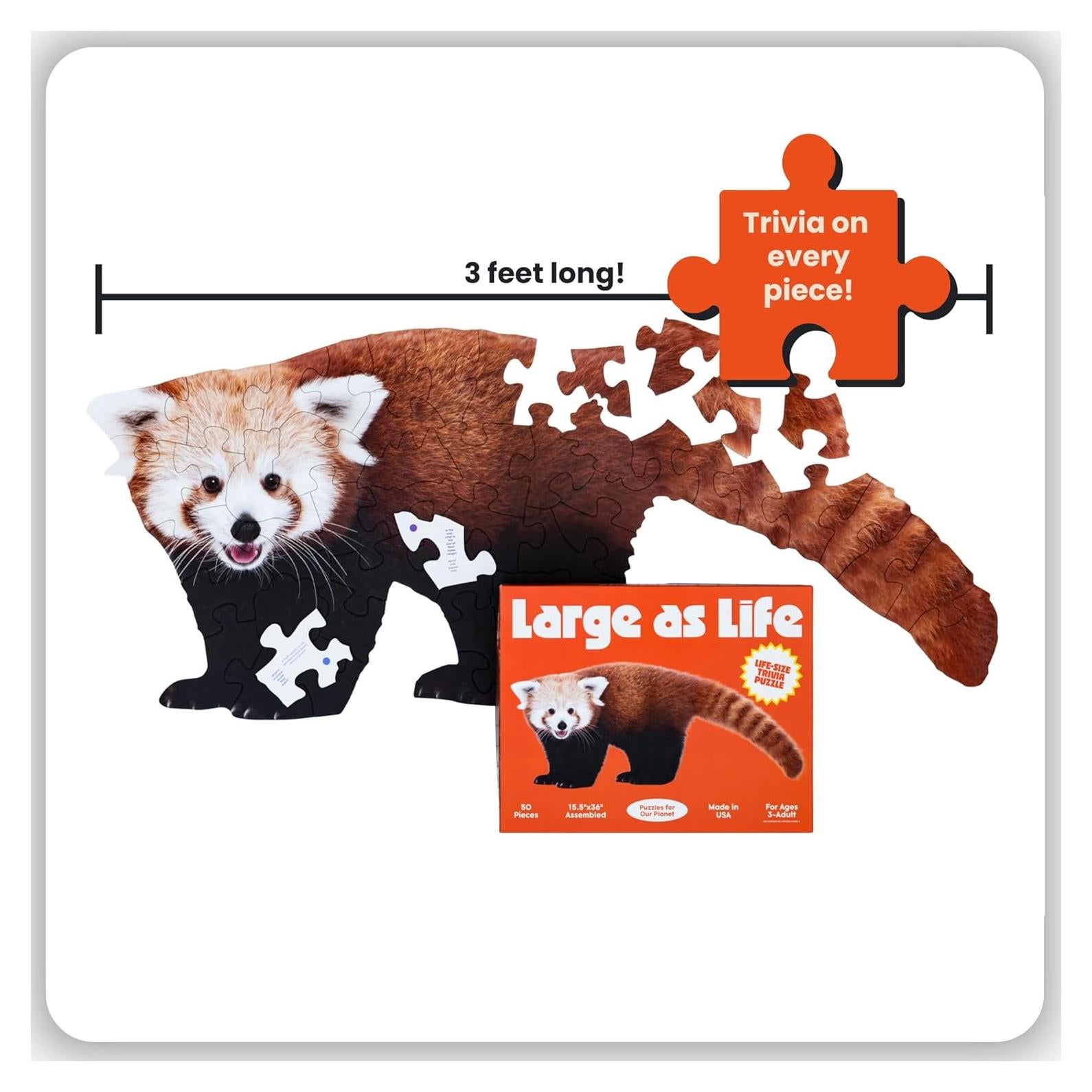 Rompecabezas de Suelo Panda Rojo 50 Piezas Grande como la Vida