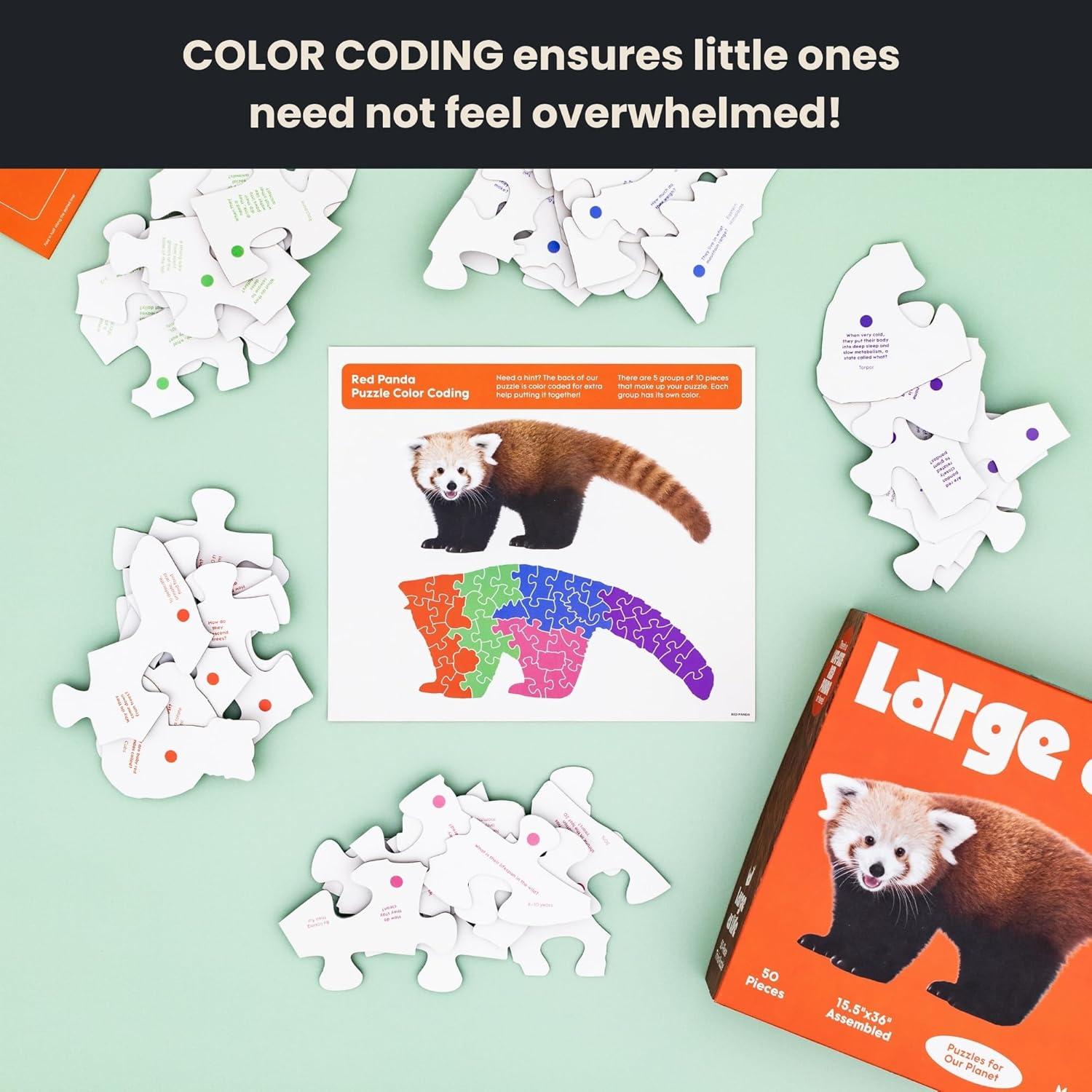 Rompecabezas de Suelo Panda Rojo 50 Piezas Grande como la Vida