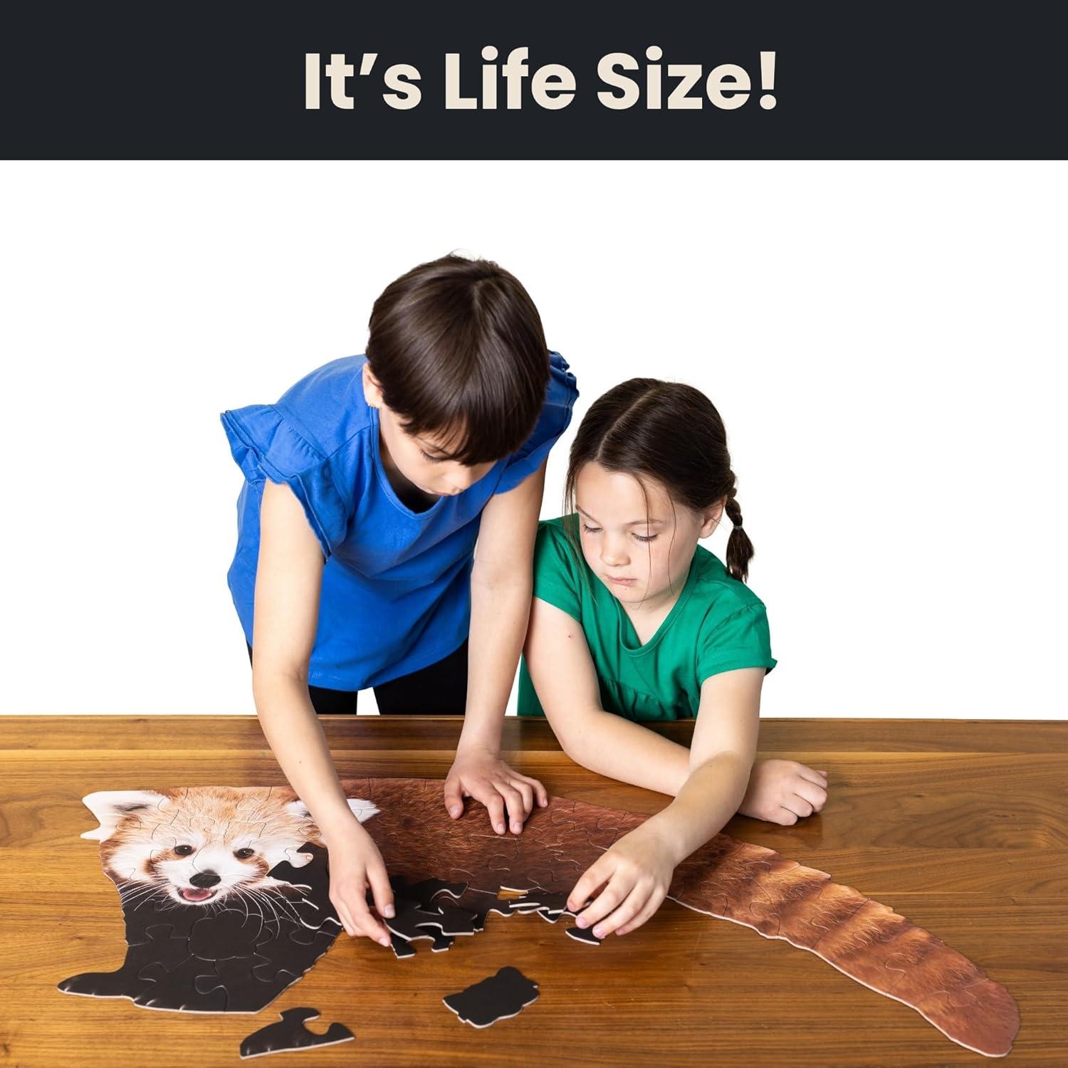 Rompecabezas de Suelo Panda Rojo 50 Piezas Grande como la Vida