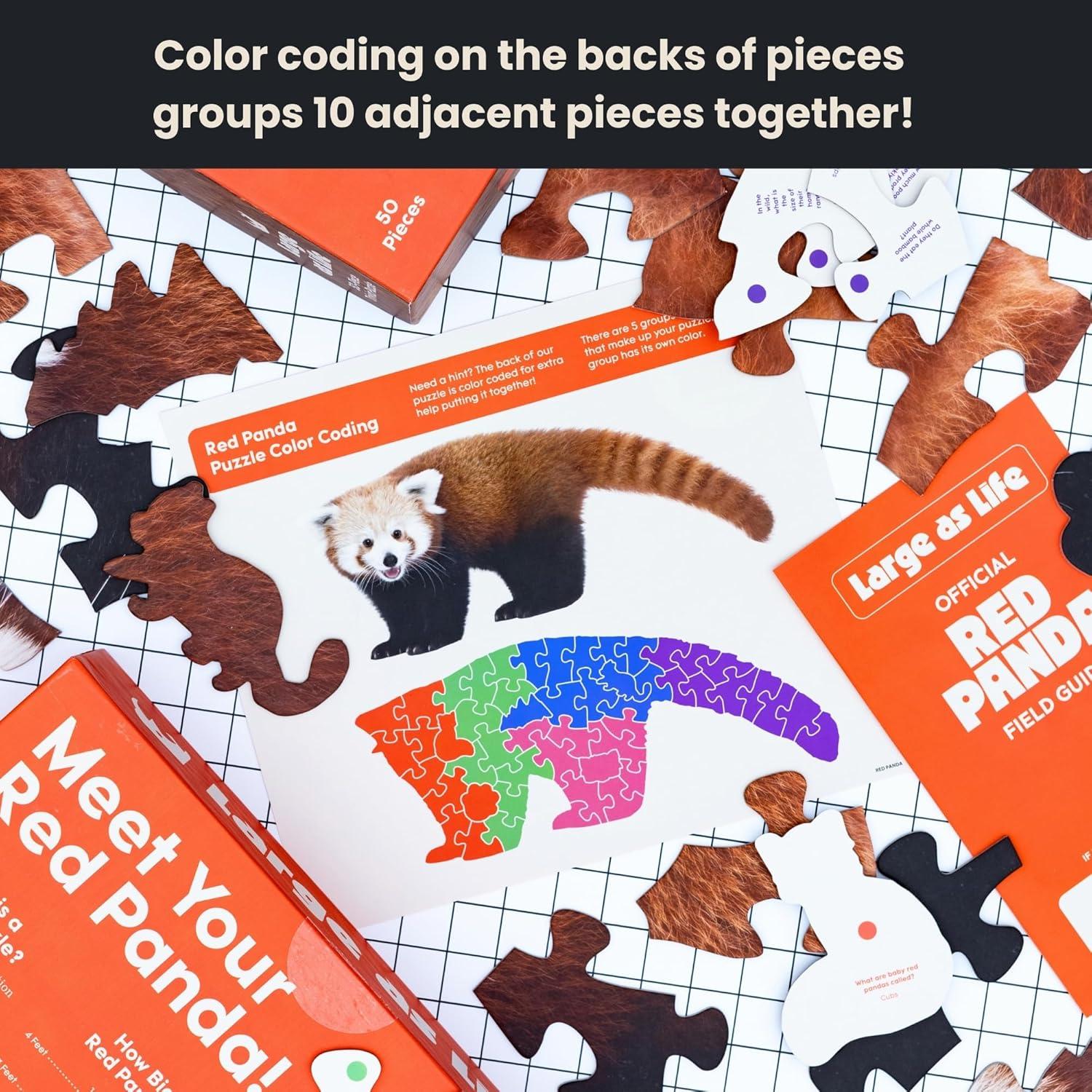 Rompecabezas de Suelo Panda Rojo 50 Piezas Grande como la Vida