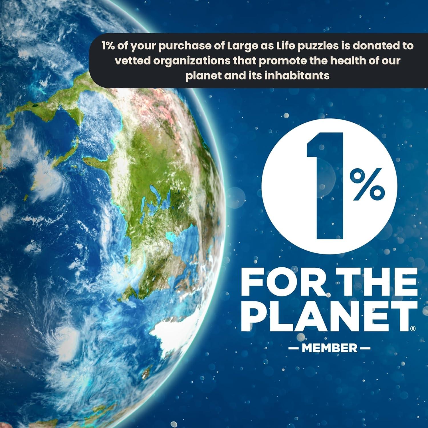 Rompecabezas de Suelo Panda Rojo 50 Piezas Grande como la Vida