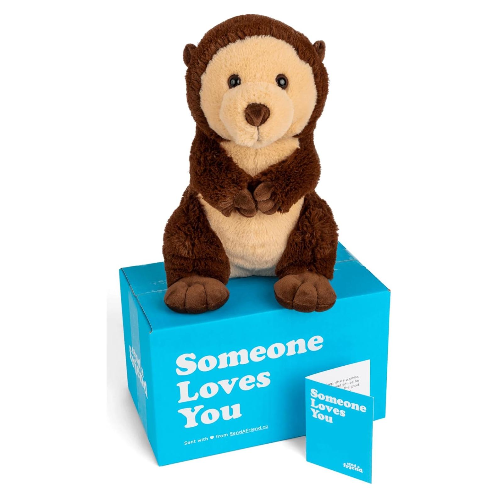 SendAFriend Paquete de Regalo Peluche Nutria Oliver 25.4 cm