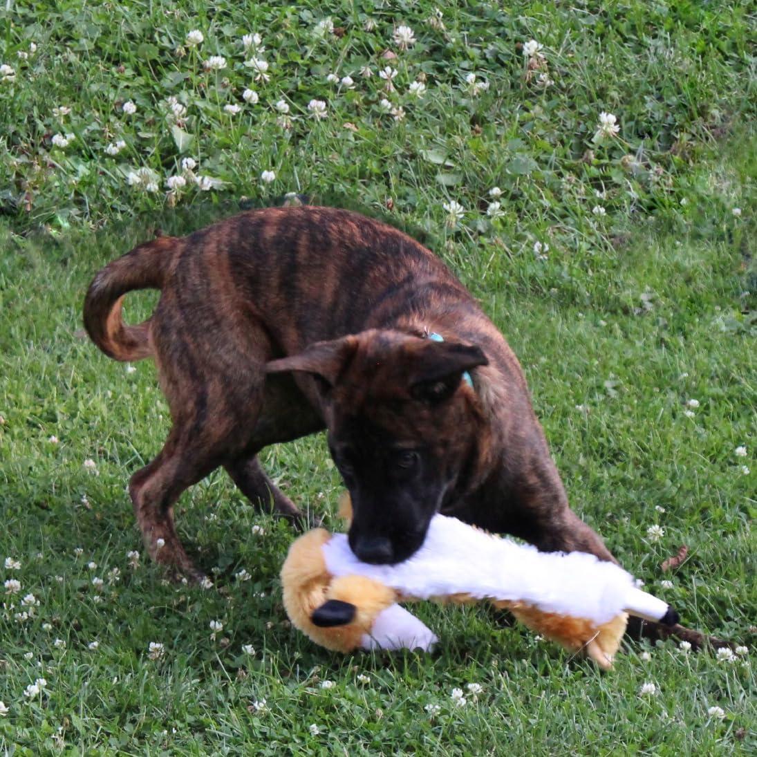 Juguete para Perros SPOT Skinneeez Extreme Zorro Acolchado 58cm