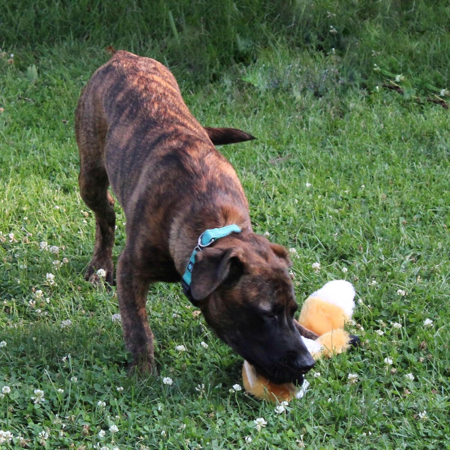 Juguete para Perros SPOT Skinneeez Extreme Zorro Acolchado 58cm