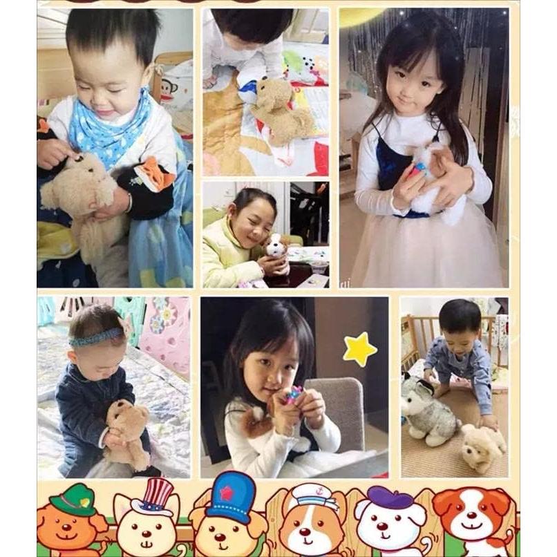 Peluches de perro Dálmata BCGI 25x18x12 cm suave