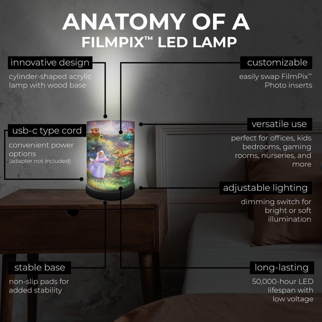 Foto Inserto FilmPix Robin Hood Trend Setters 45.72x20.32cm