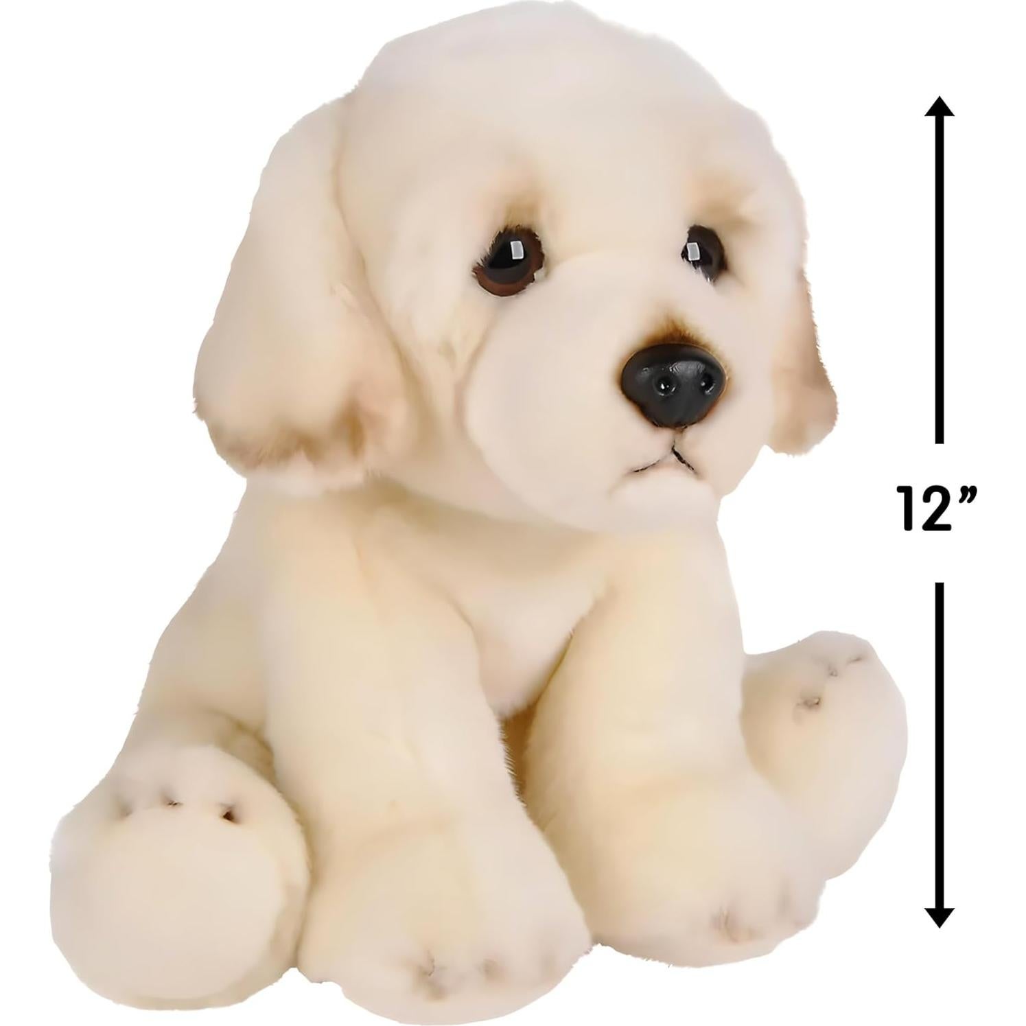 Peluche Golden Retriever 30.48 cm Adventure Planet