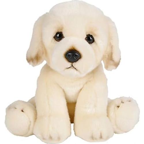 Peluche Golden Retriever 30.48 cm Adventure Planet