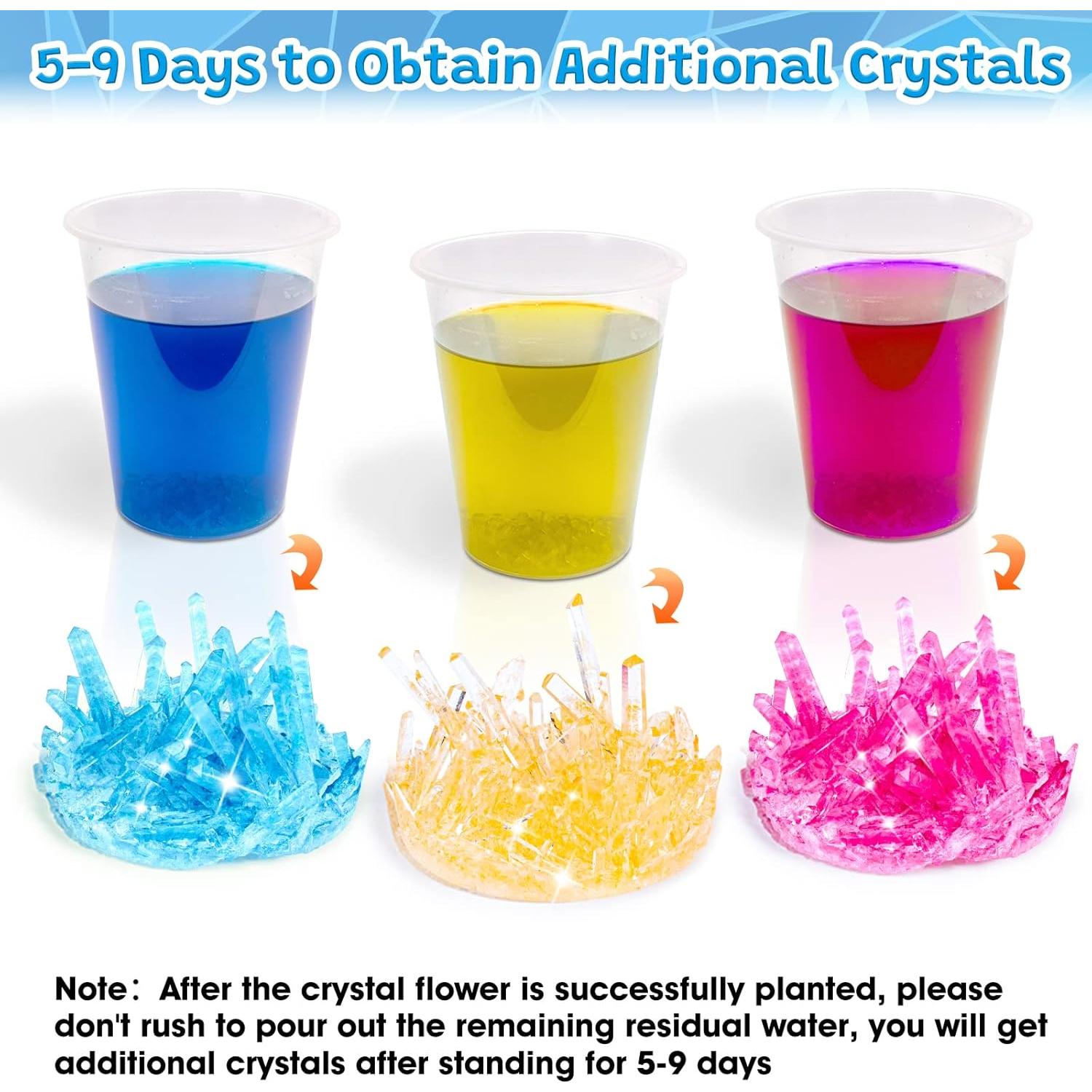 Kit de Excavación de Gemas GobiDex + Crecimiento de Cristales