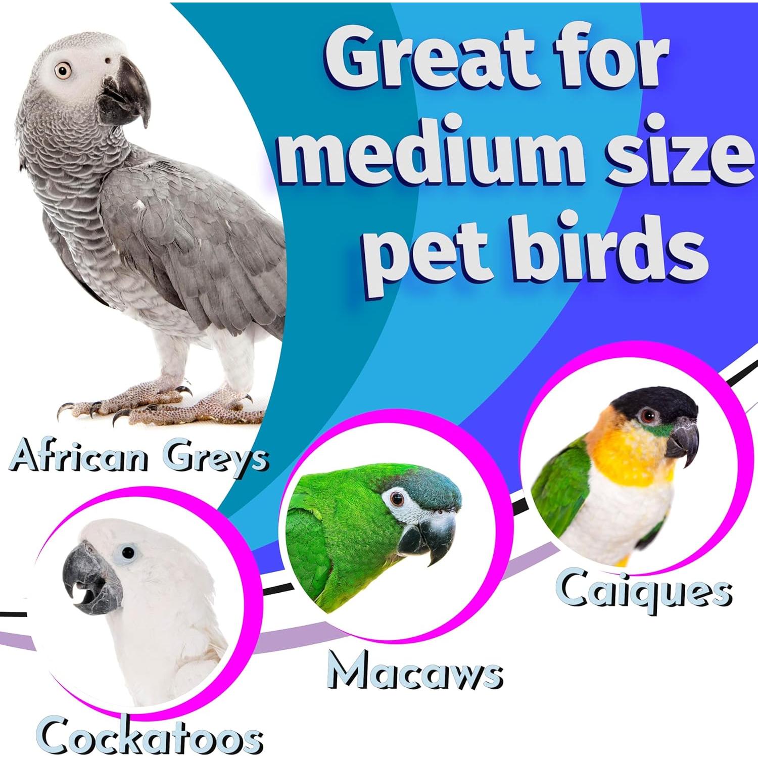 Juguetes Interactivos para Aves M&M Bird Toys Jumbo Bird Bolt Pk12