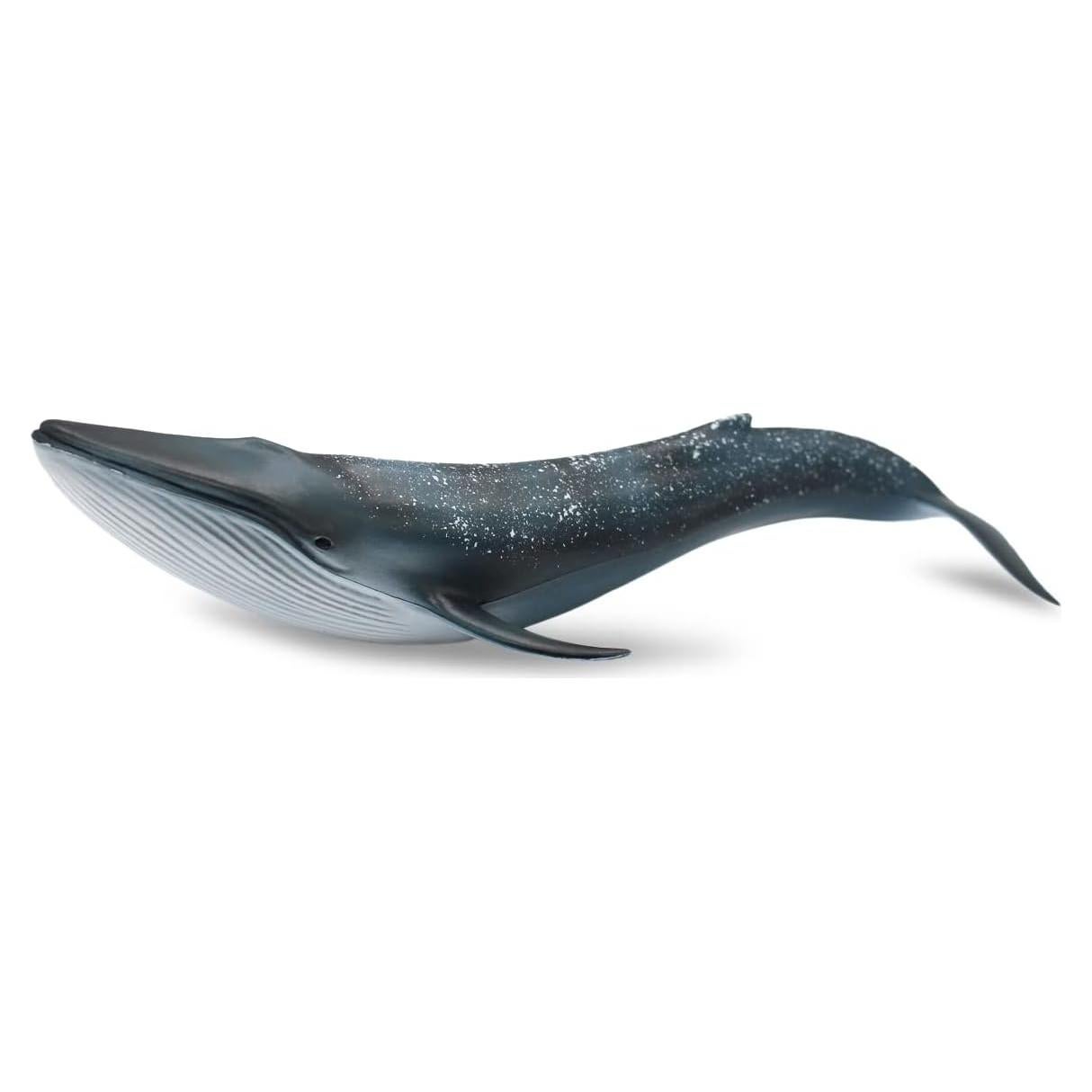 Juguete Educativo Ballena Azul SmilerSmile 25.4x9.9cm