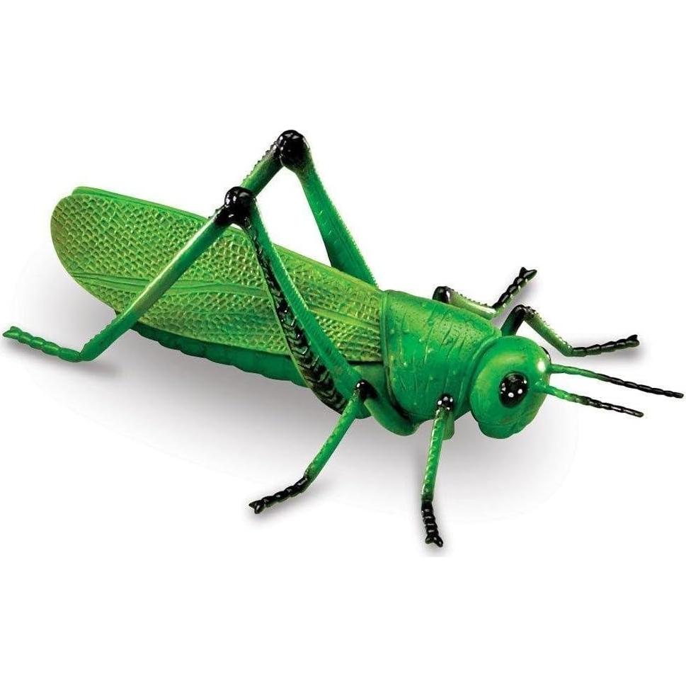 Conjunto de Insectos Jumbo Learning Resources - 7 Piezas