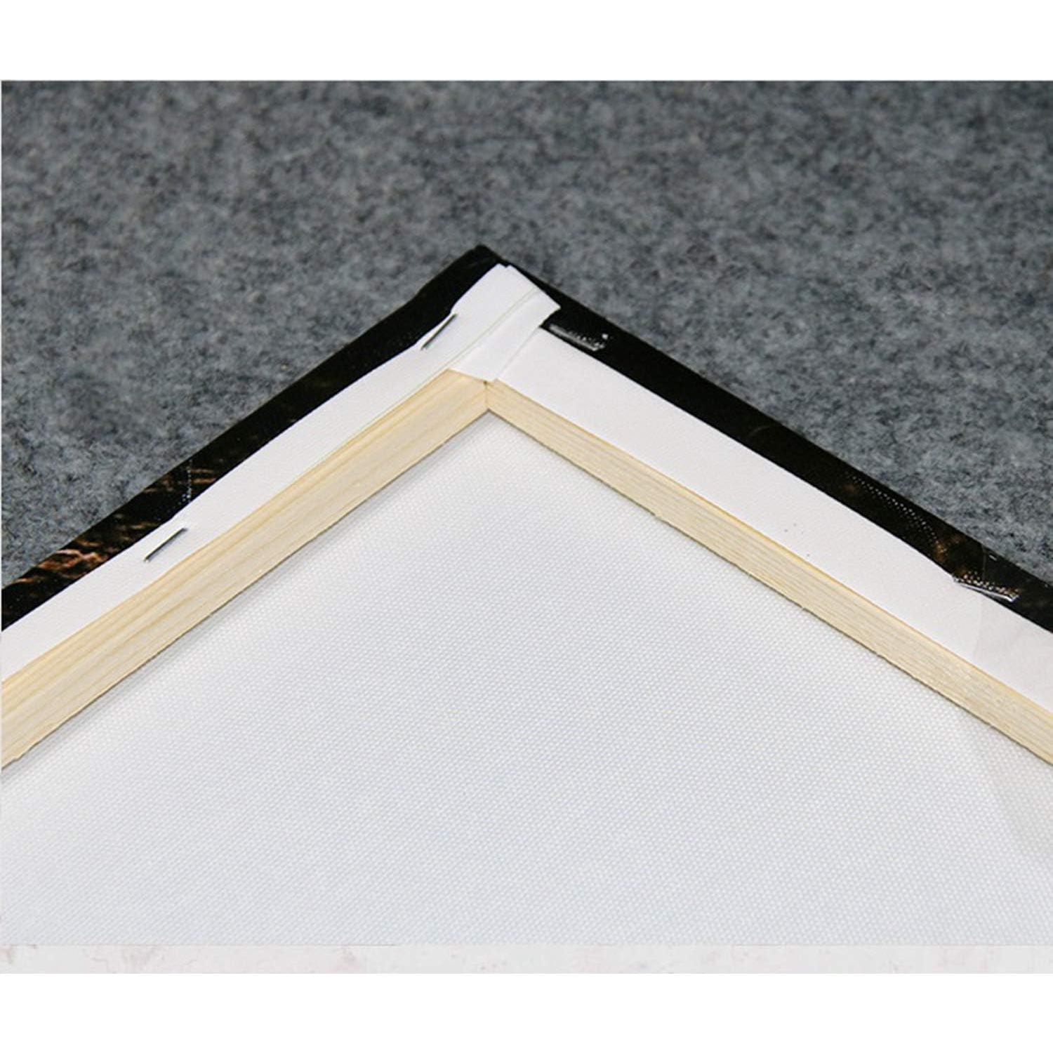 Pintura en Lienzo 30x30 cm Ansouyi Decoración Navidad