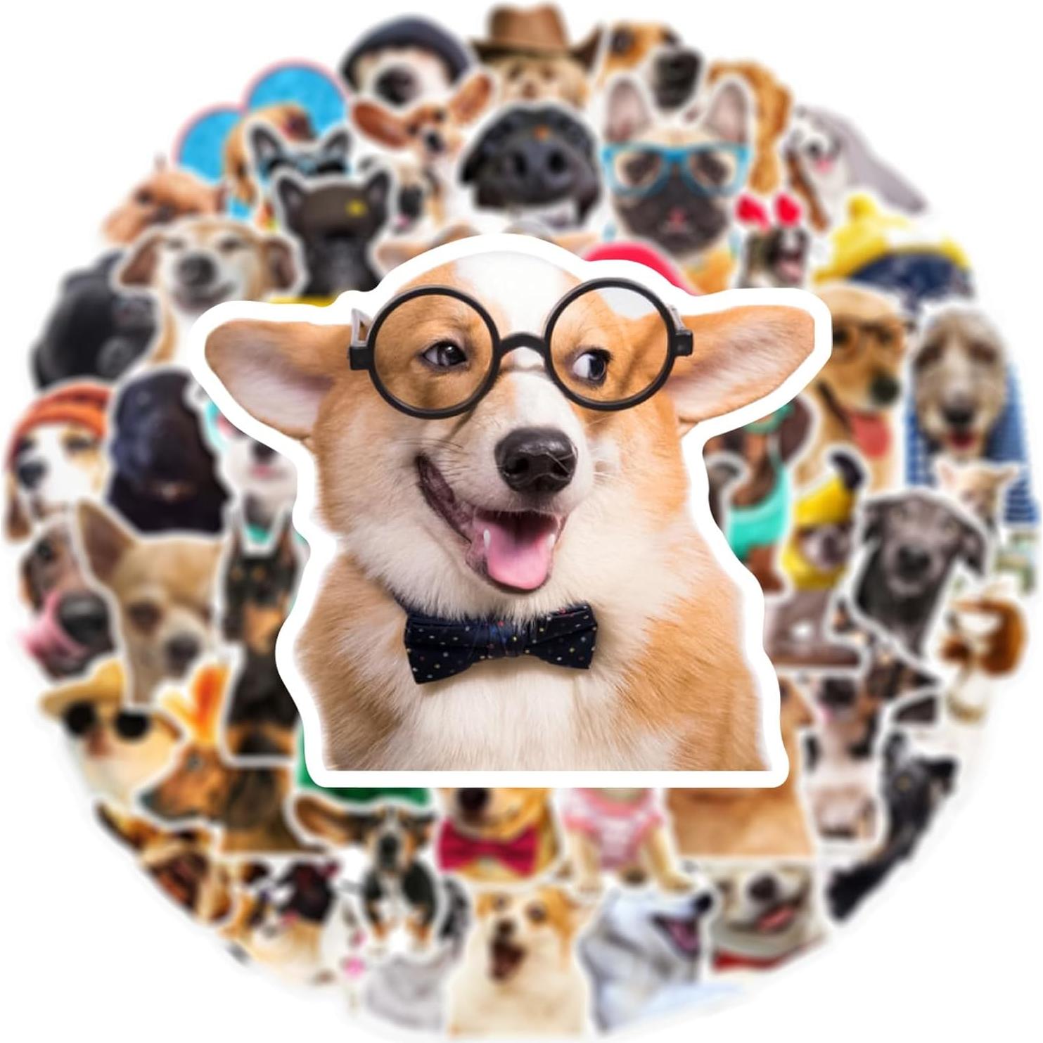 50 Pegatinas Divertidas de Perro Aigemumy Impermeables