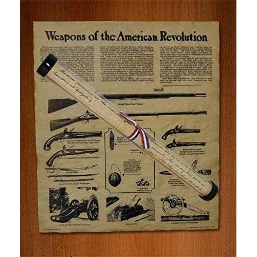 Póster Armas de la Revolución Americana Nuestras Enmiendas