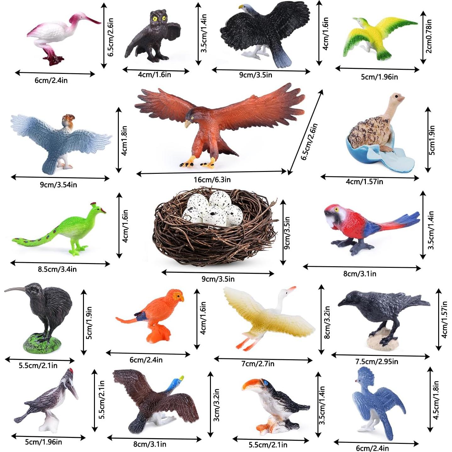 Set de Figuras de Aves SIENON 23 Piezas para Proyectos Escolares