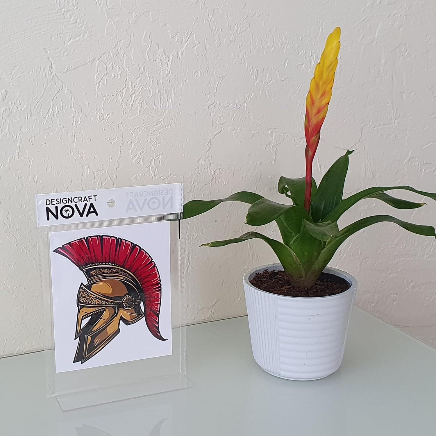 Calcomanía Casco Espartano Guerrero Vinilo 10x12 cm