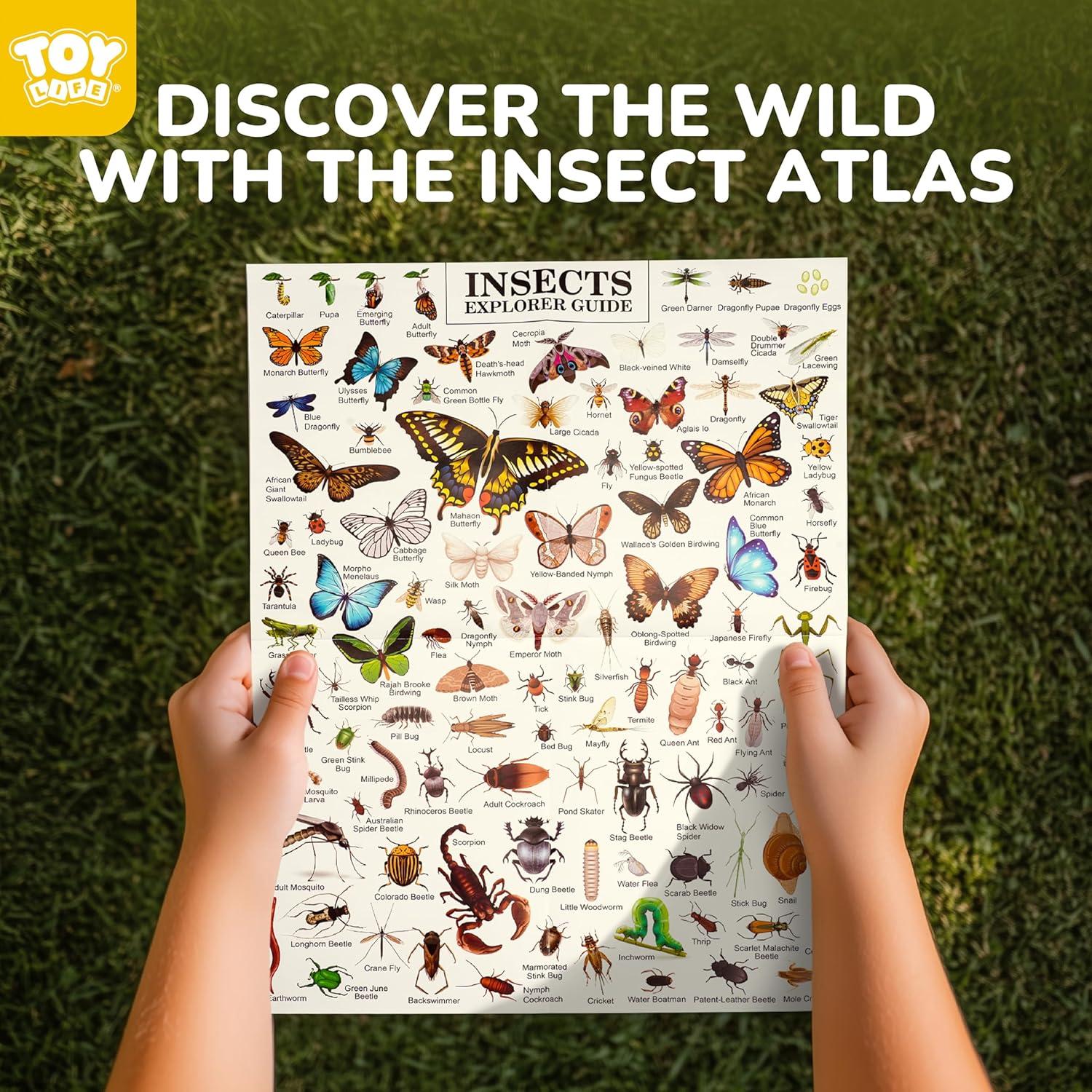 Kit de Explorador TOY Life para Niños 3-12 Años con Binoculares