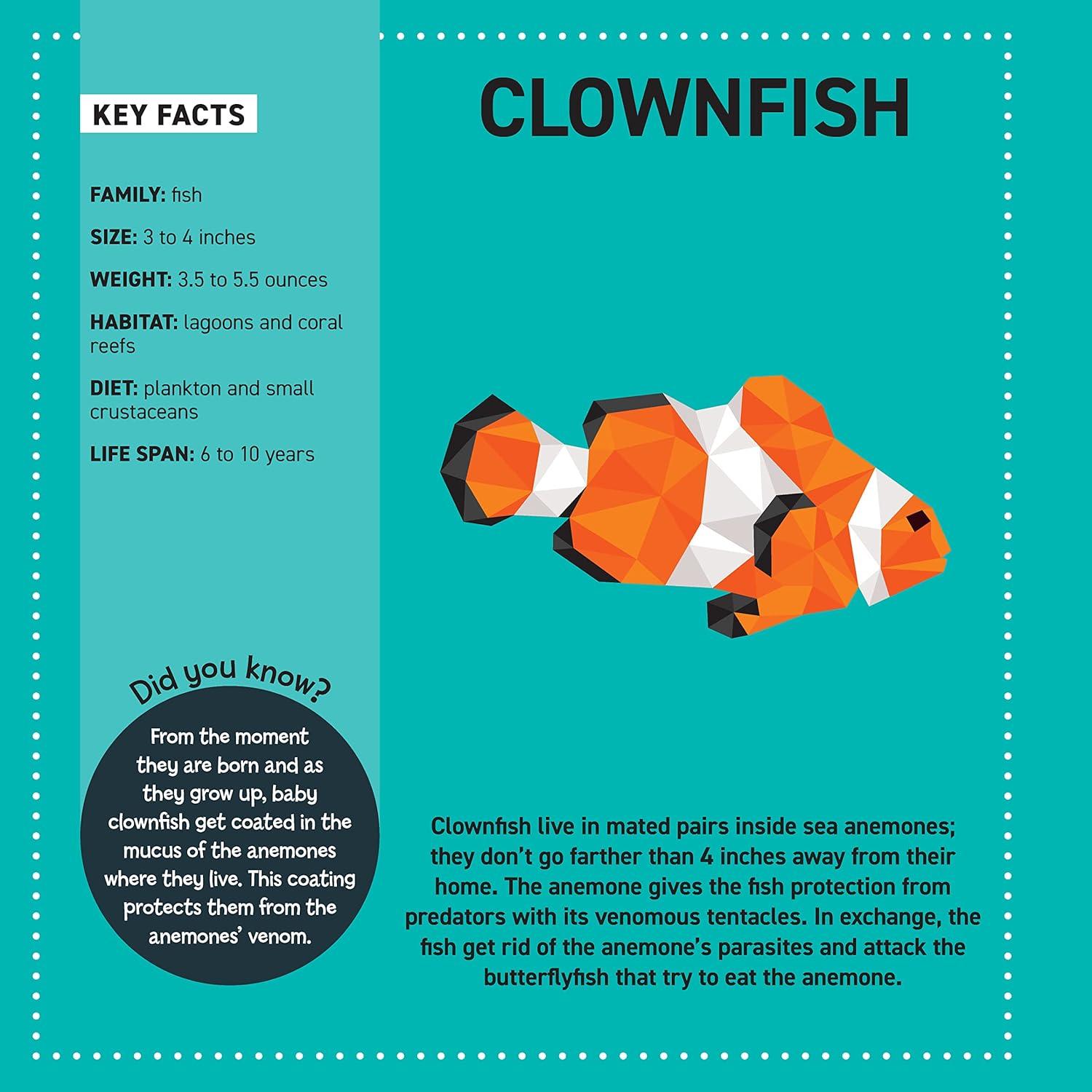 My Sticker Paintings: Ocean Animals: 10 Magnificent Paintings (Happy Fox Books) For Kids 6-10 - Jellyfish, Dolphins, Penguins, Sharks, and More, with 30 to 140 Removable, Reusable Stickers per Design