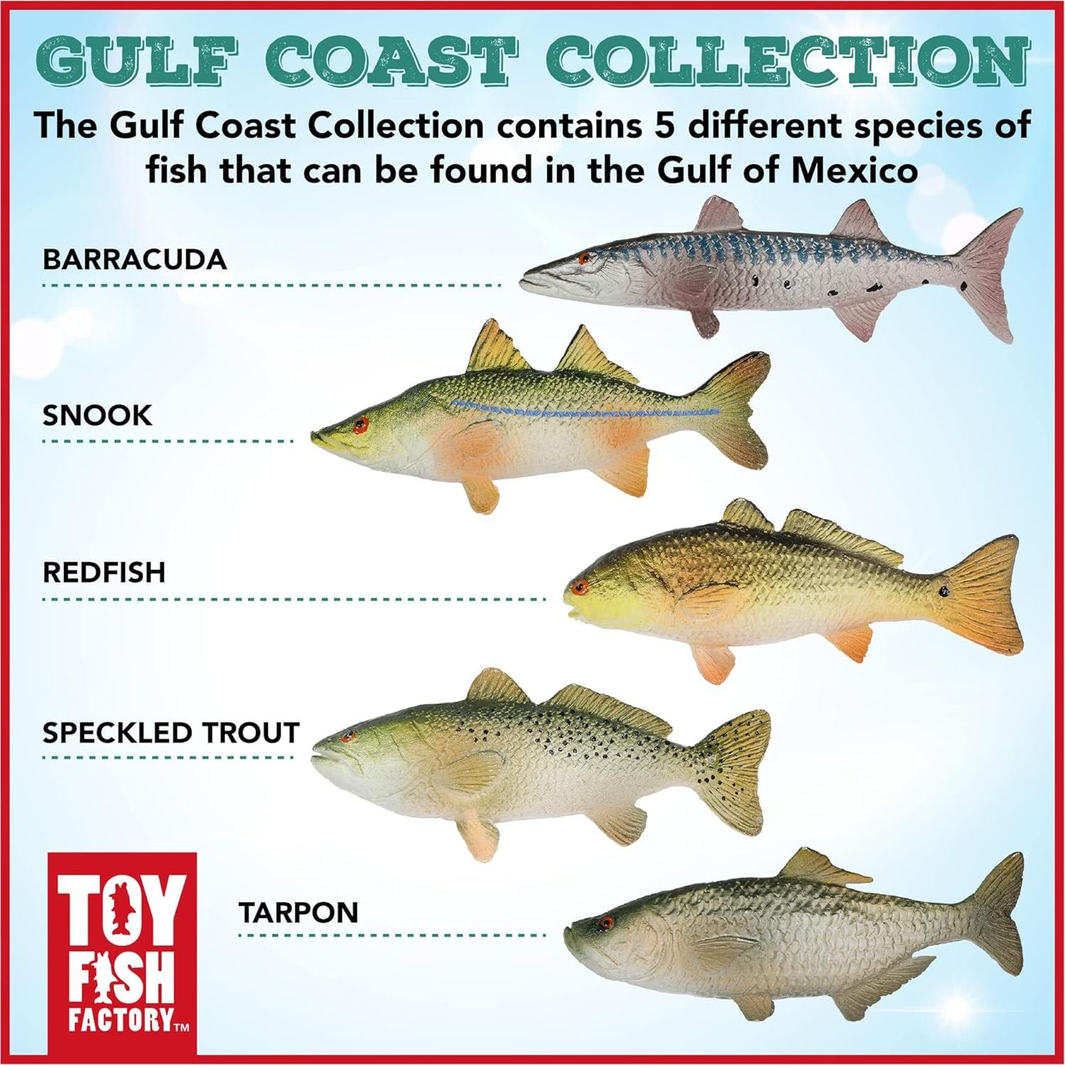 Set de Peces de Juguete Toy Fish Factory - Costa del Golfo 5 Piezas