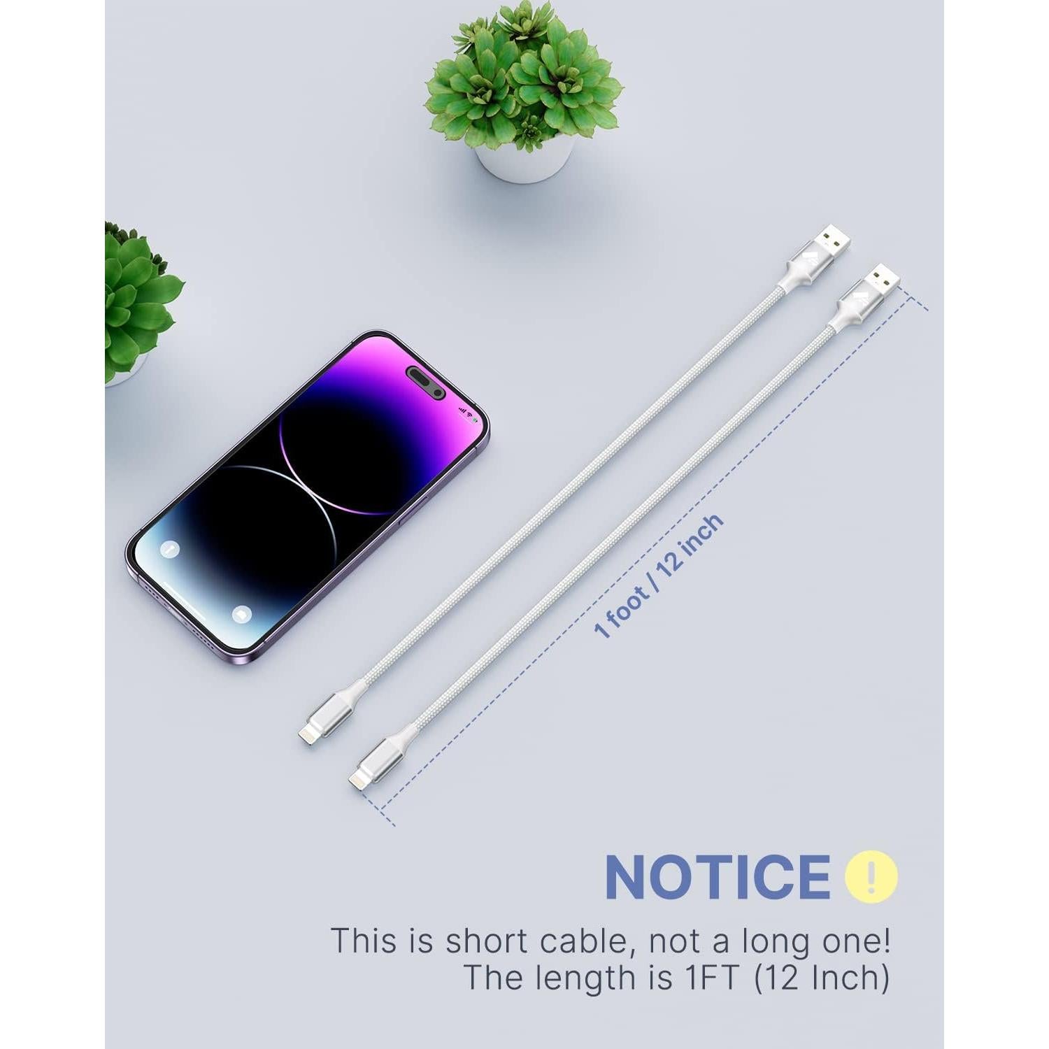 Cable de Carga Rápida Aioneus USB A a Lightning 1 Pie 2 Pack