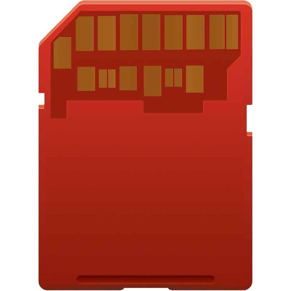 ProMaster SDXC 128GB Resistente UHS-I - Alta Velocidad