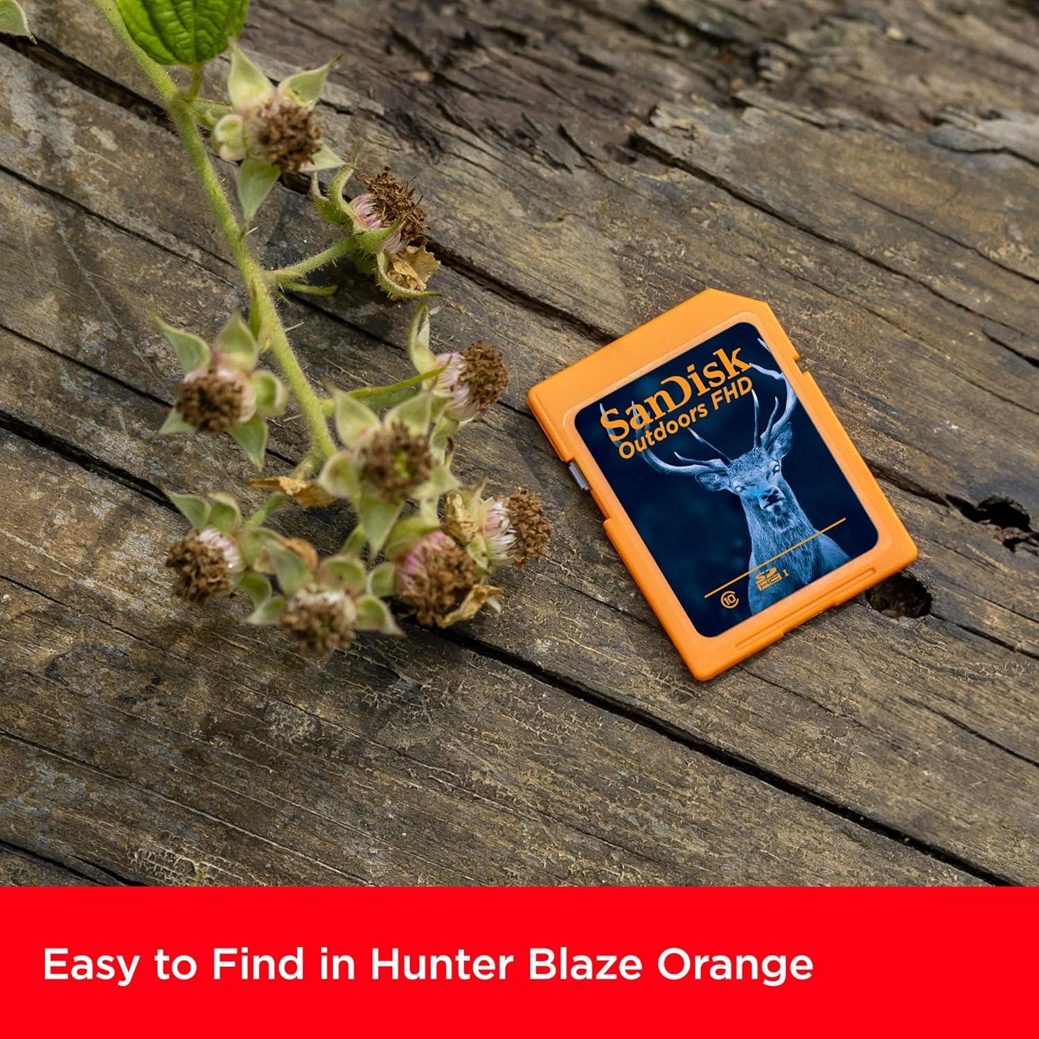 Tarjeta SD SanDisk 32GB 2-Pack UHS-I para Cámaras de Sendero