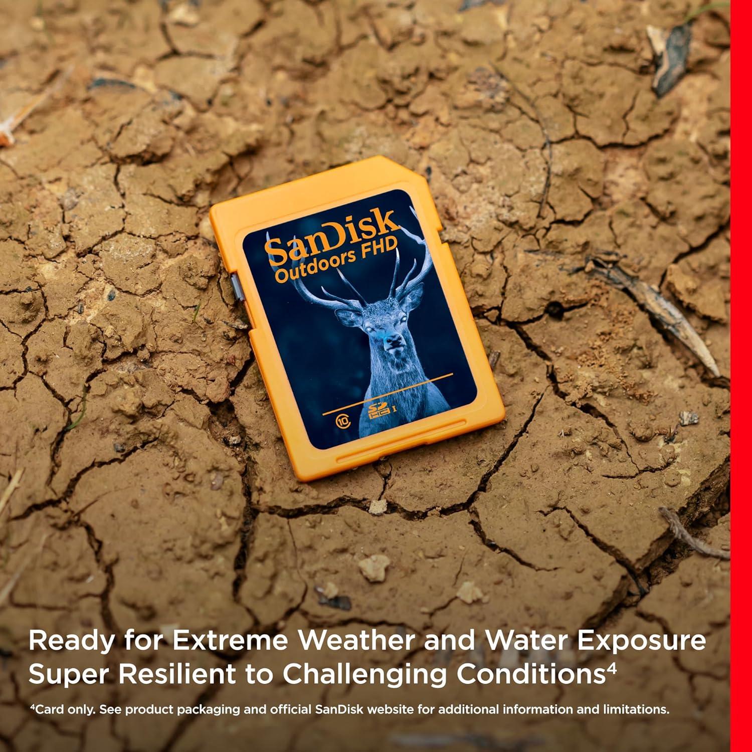 Tarjeta SD SanDisk 32GB 2-Pack UHS-I para Cámaras de Sendero