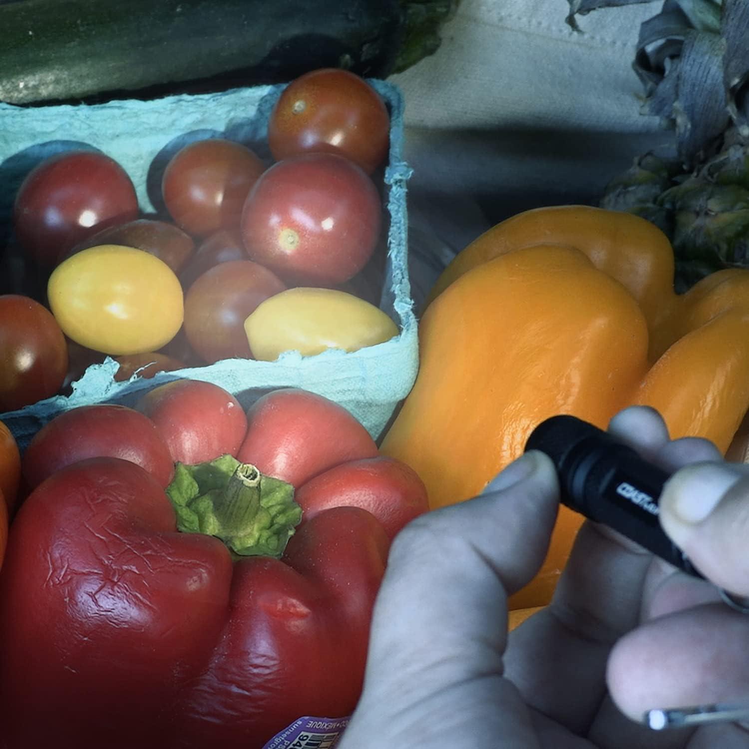 Linterna de Llavero LED Coast KL10 100 Lúmenes IP54