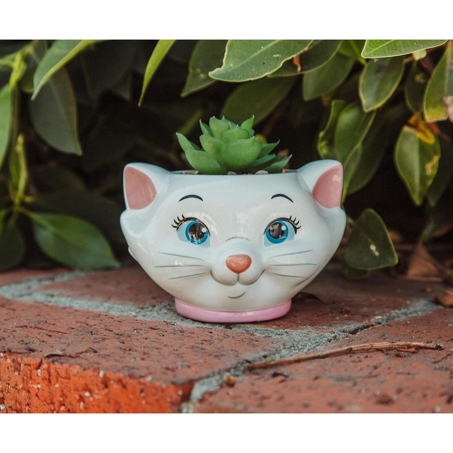 Maceta Cerámica Silver Buffalo Aristogatos Marie 11.4cm con Suculenta