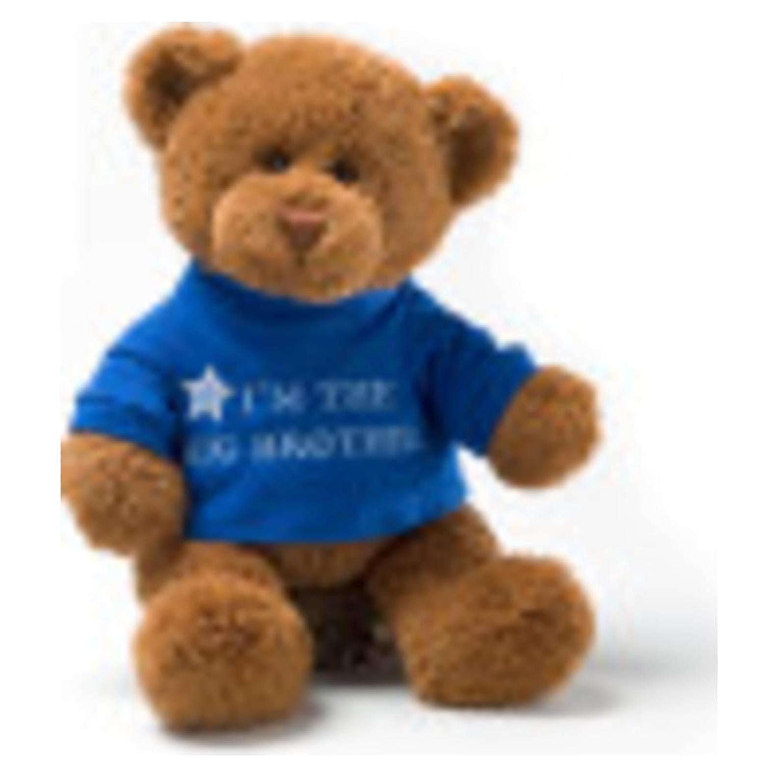 Oso de Peluche GUND 30 cm con Camiseta Azul "Soy el Hermano Mayor"
