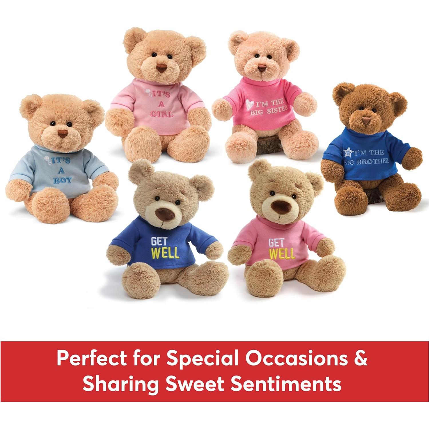 Oso de Peluche GUND 30 cm con Camiseta Azul "Soy el Hermano Mayor"